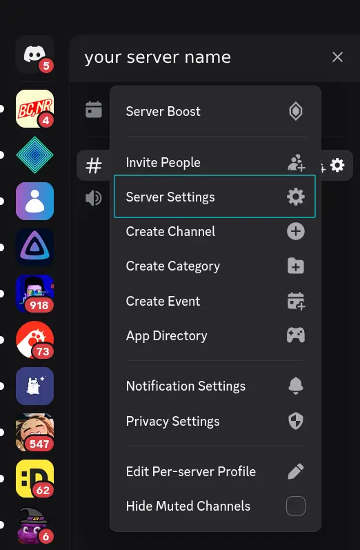 server dropdown